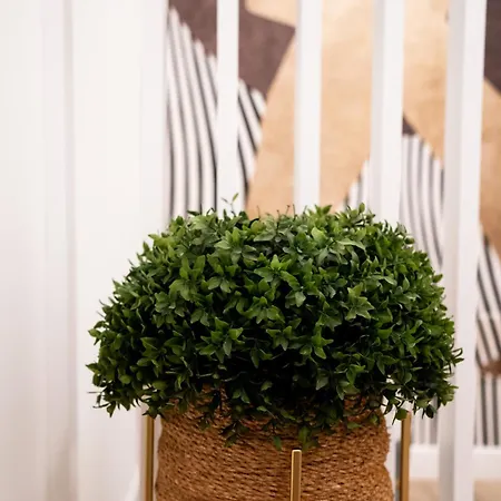 Bonciari Comodo E Moderno Bilocale Con Posto Auto Gratuito E Self Check In