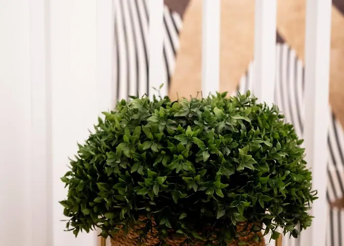 Bonciari Comodo E Moderno Bilocale Con Posto Auto Gratuito E Self Check In